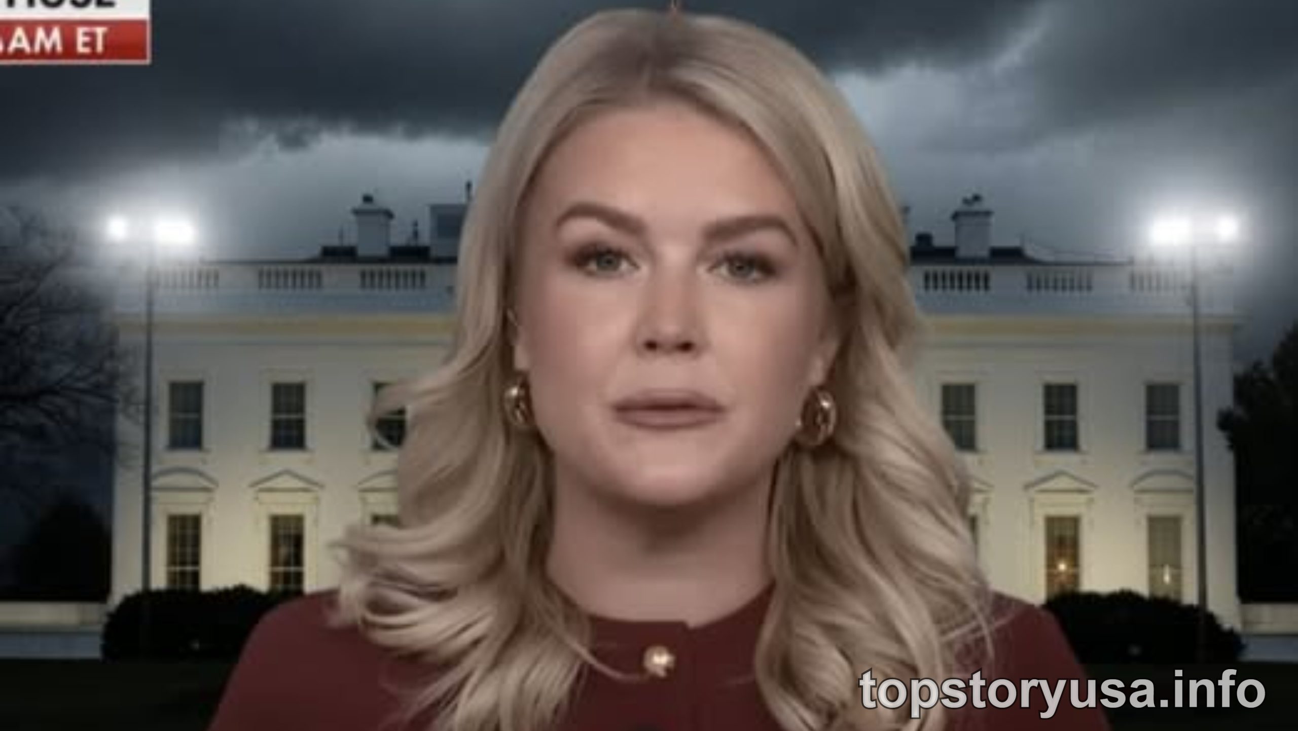 Karoline Leavitt discusses Iran terrorism resolution and Democrats' national emergency alert on Fox News